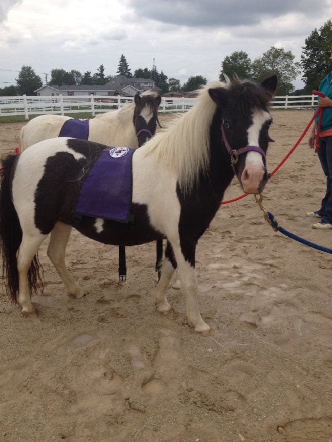 14523105_10208182149166578_1457321373516881279_n