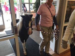 14650137_10154619399566499_7206590730785375472_n