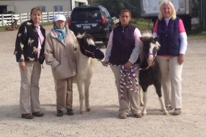 14670688_10208346510195501_6351454699359621795_n