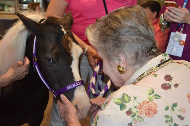 20247692_10210635688223521_4333200062801831273_o