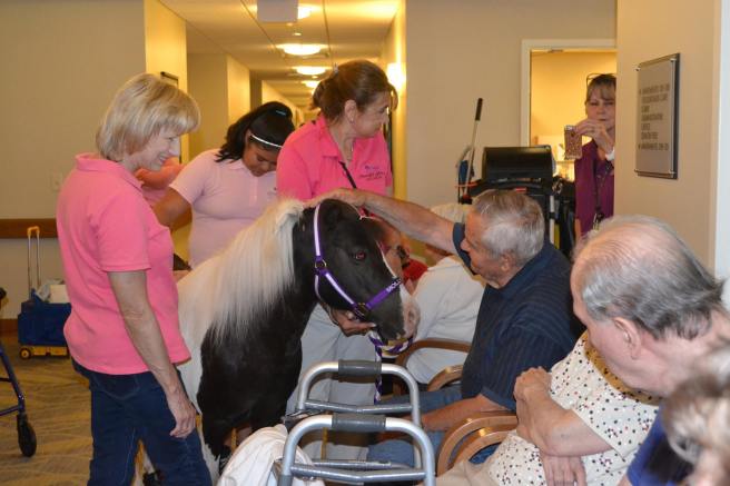 20248115_10210635699103793_6521537718632209522_o