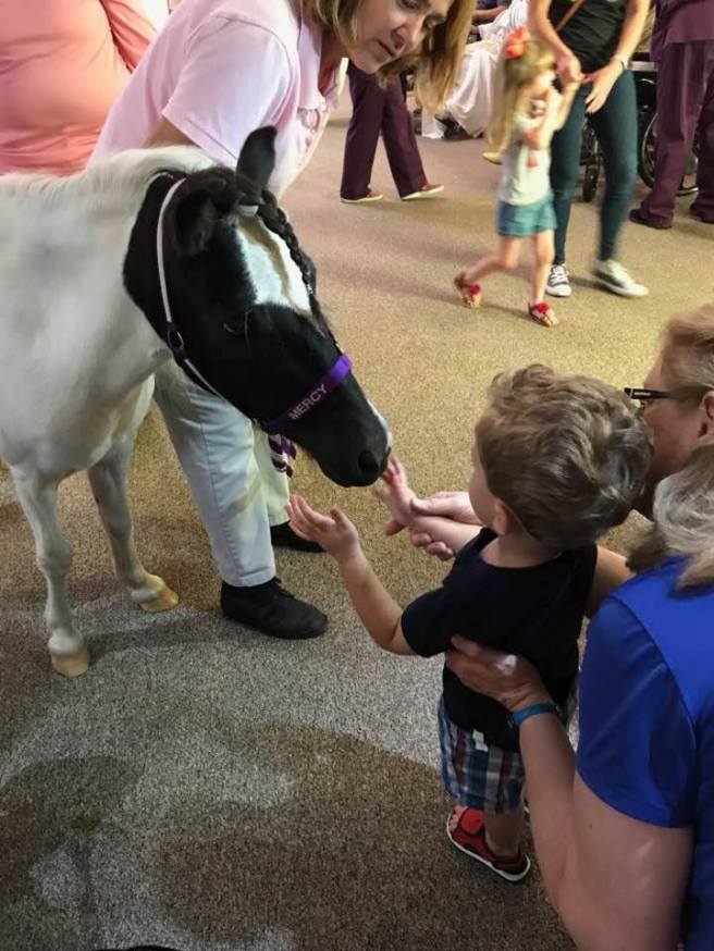 20914532_10210845237302117_1789664522051124420_n