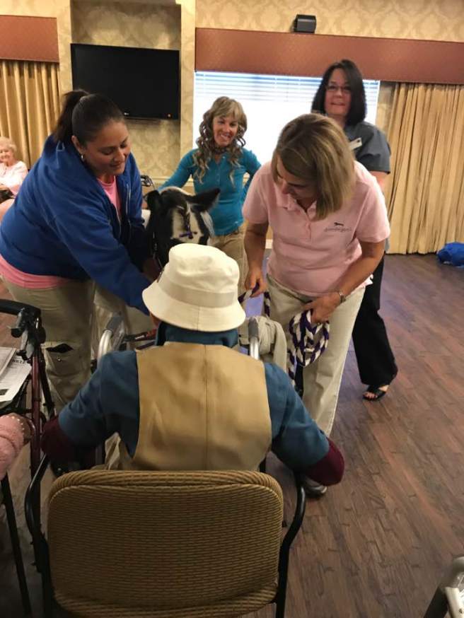 21433109_10210999495678480_3150013062071416238_n