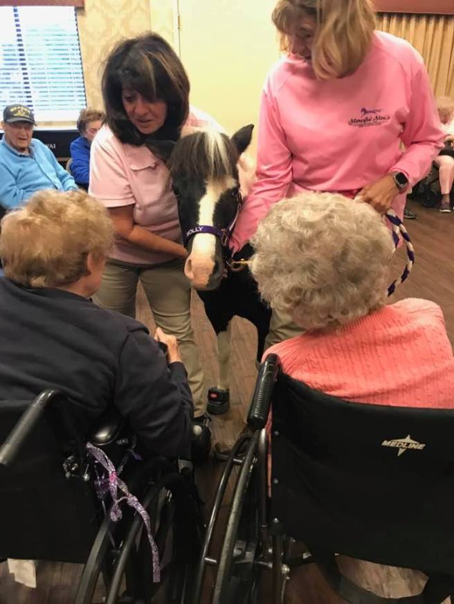 21433234_10211000624066689_2817282736341286384_n