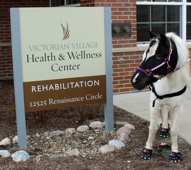 29745062_10212468030310928_6400301466249446344_o