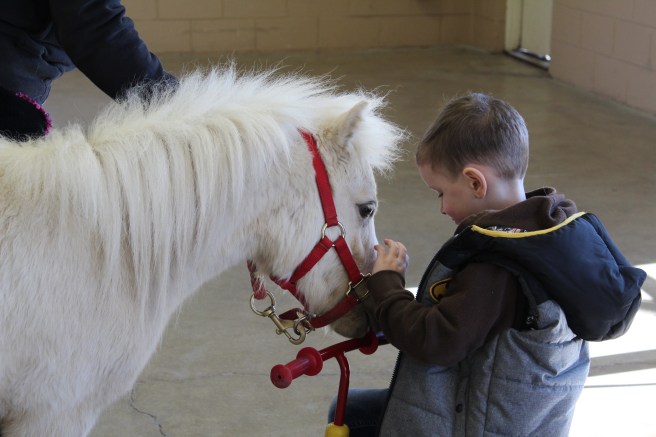 minis spring training 2018