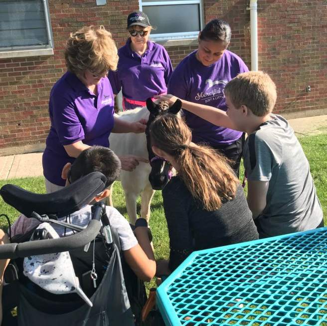 37778109_10213165675311617_7166158220480741376_n