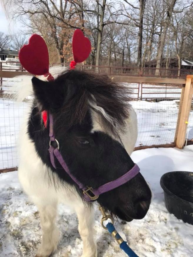 52582669_10214530493991231_1201515082421370880_n