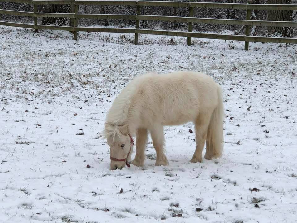 80387905_10216566379167088_9190436952023760896_n