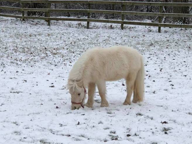 80387905_10216566379167088_9190436952023760896_n